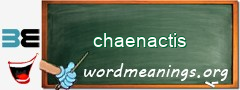 WordMeaning blackboard for chaenactis